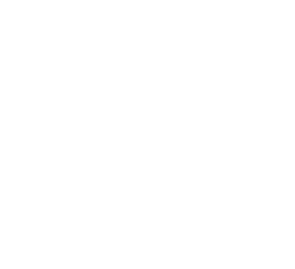Curious Wanderess PL