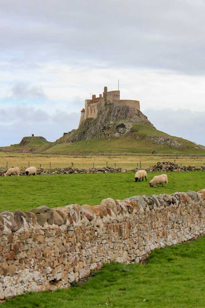Zamek Lindisfarne w północno wschodniej Anglii