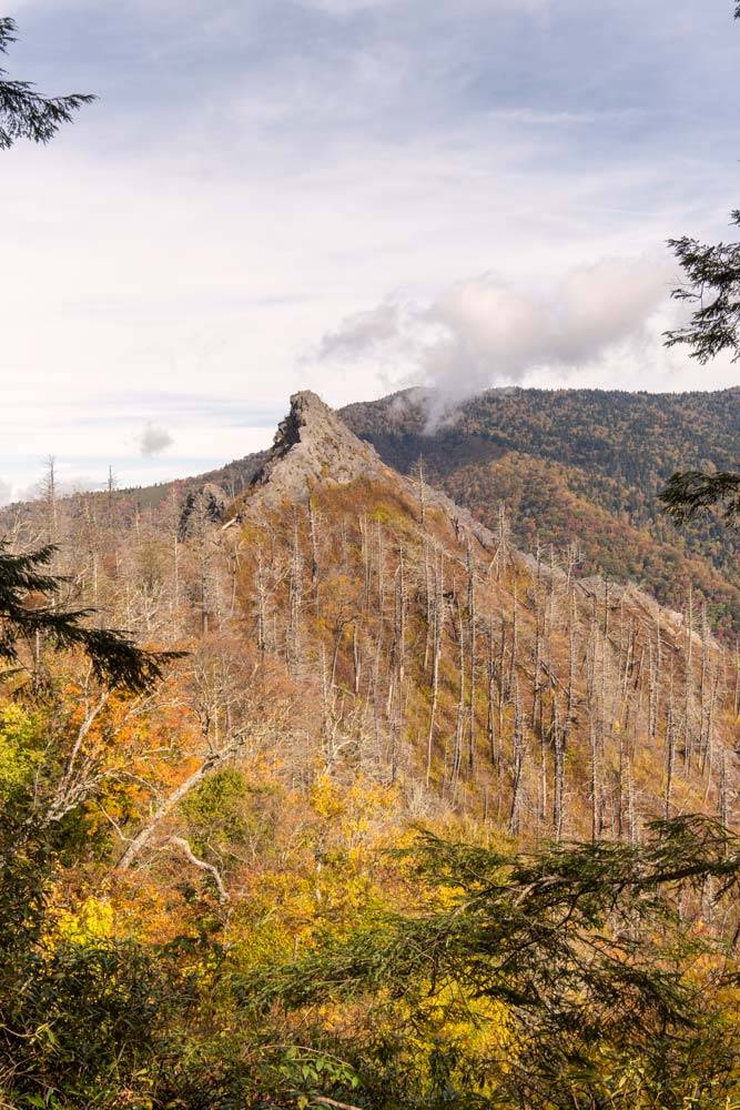Szczyt Chimney Tops w Parku Narodowym Great Smoky Mountains