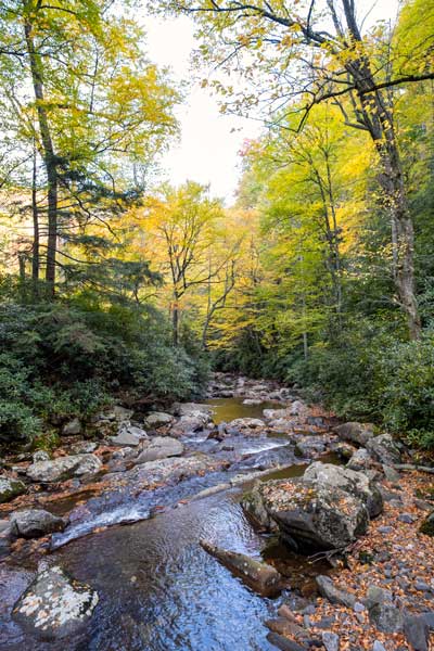 Strumyk Alum Cave Creek w Parku Narodowym Great Smoky Mountains