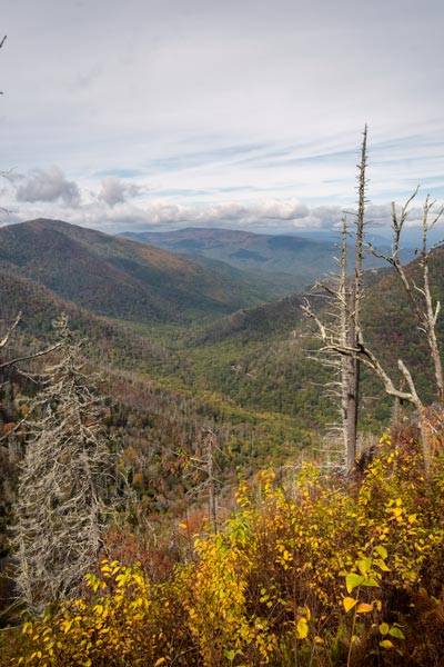 Jesinne kolory w Parku Narodowym Great Smoky Mountains