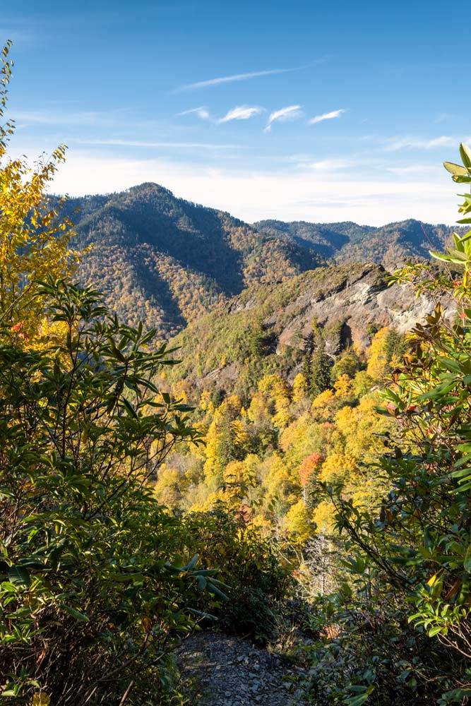 Jesienne kolory w Parku Narodowym Great Smoky Mountains