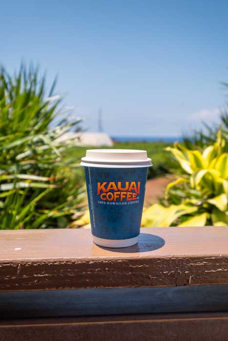 Plantacja kawy na Kauai