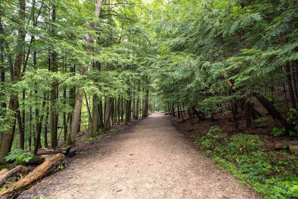 Szlak Gorge Overlook trail w Parku Stanowym Hocking Hills w stanie Ohio