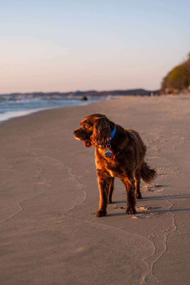 zachód słońca na plaży Douglas Beach w stanie Michigan