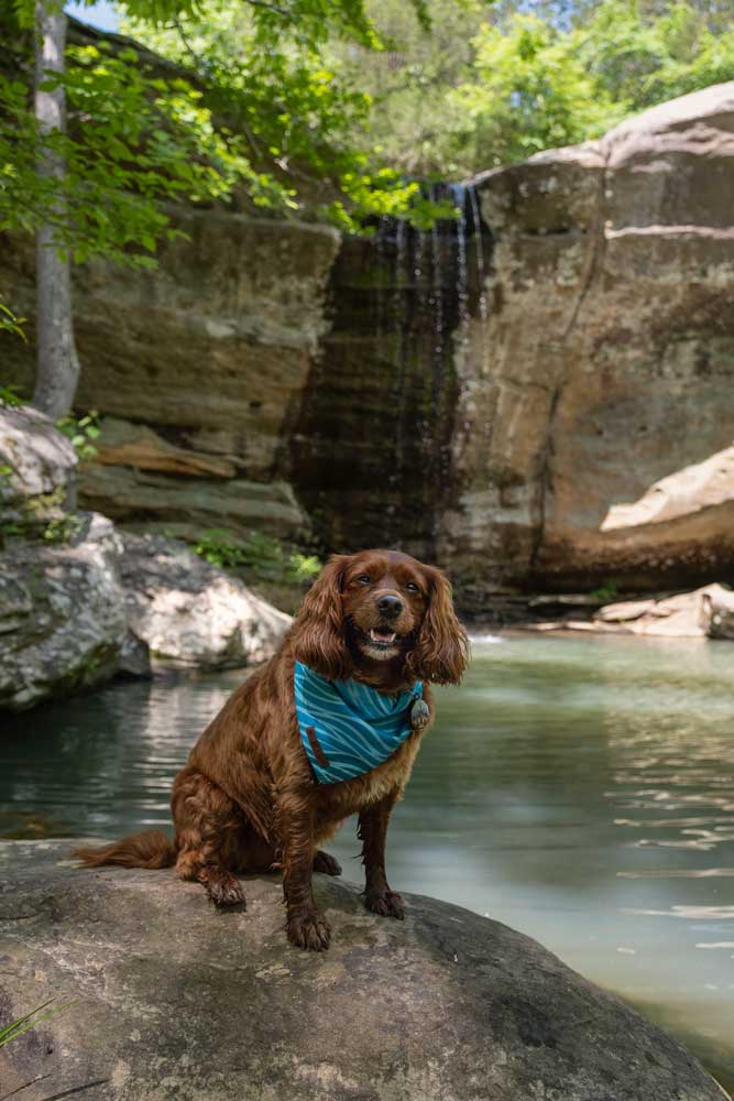 Wodospad Jackson Falls w Shawnee National Forest w stanie Illinois