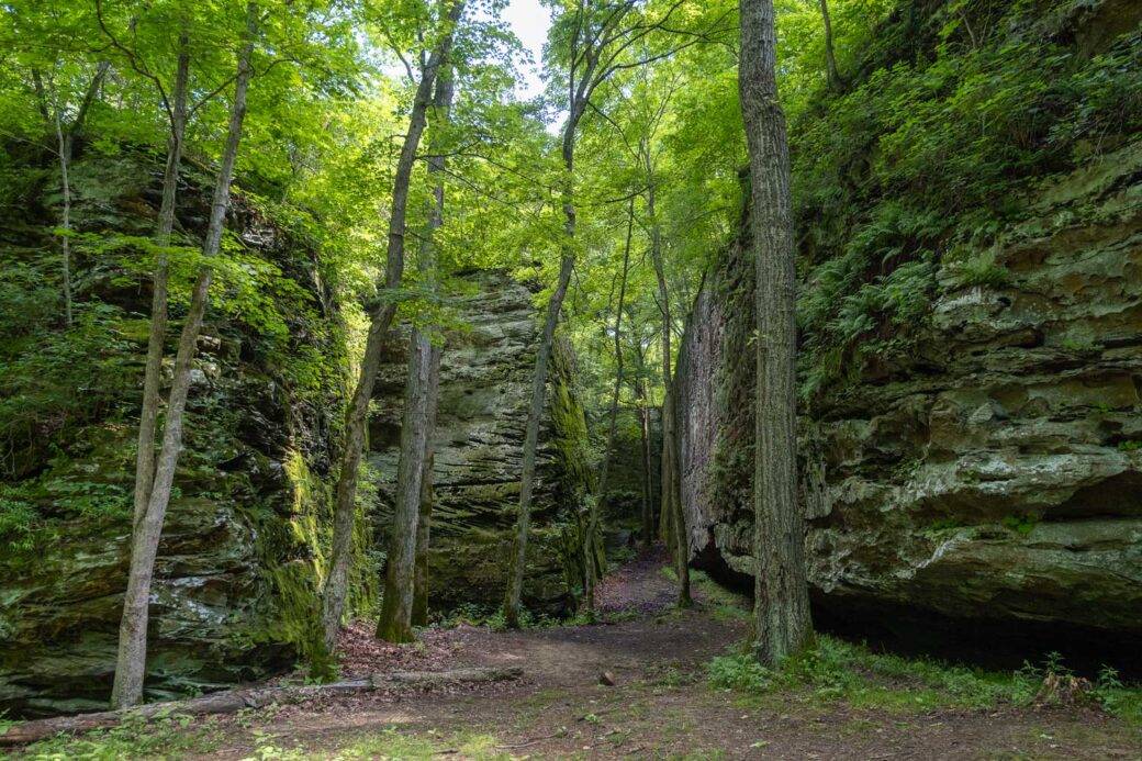Szlak Panther Den w Shawnee National Forest w stanie Illinois