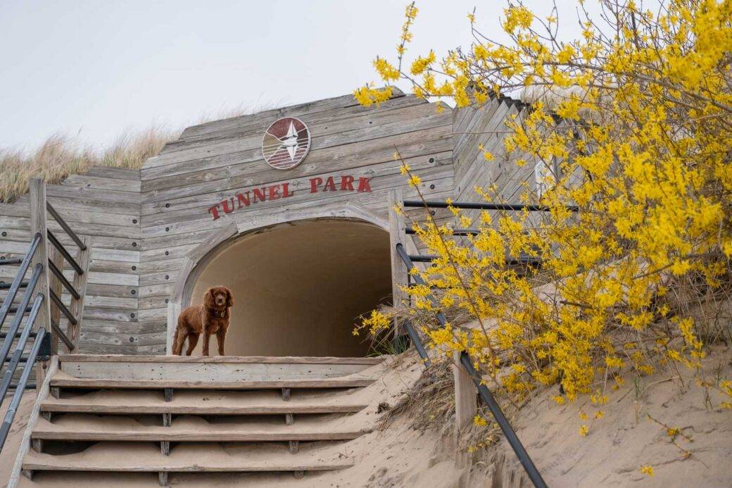 Park Tunnel w Holland w stanie Michigan