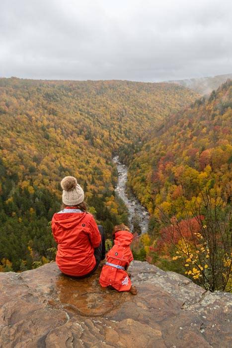 Park Stanowy Blackwaterfalls w stanie Zachodnia Virginia
