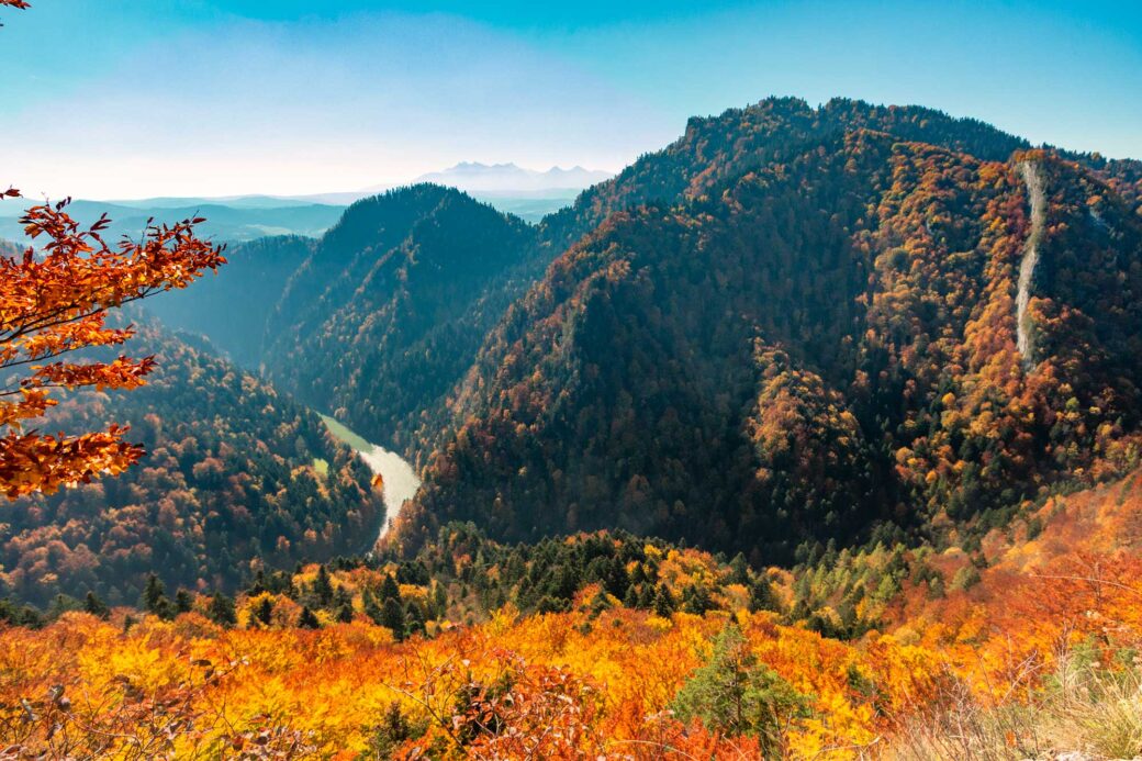 A view from a trail to Sokolica peak in Polish Pieniny National Park