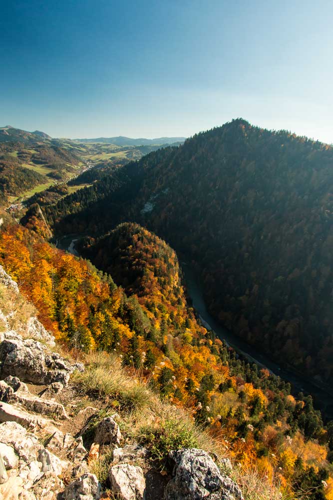 View from Sokolica peak in Polish Pieniny National Park