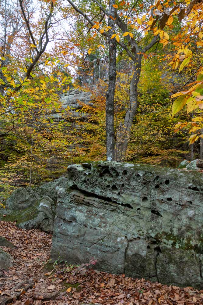 Autumn view of Jackson Falls Trail in Shawnee National Forest featuring rock formations