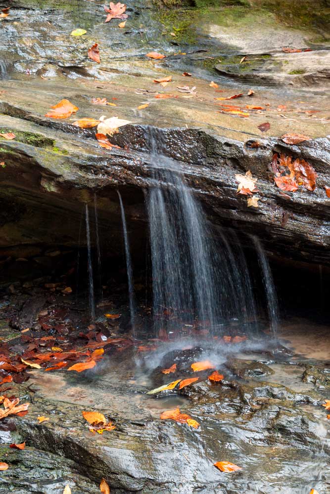 Water flowing through Little Grand Canyon in Shawnee National Forest