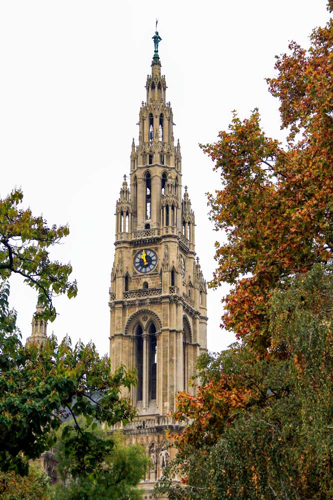 Viennese Town Hall tower peeking through autumn leaves