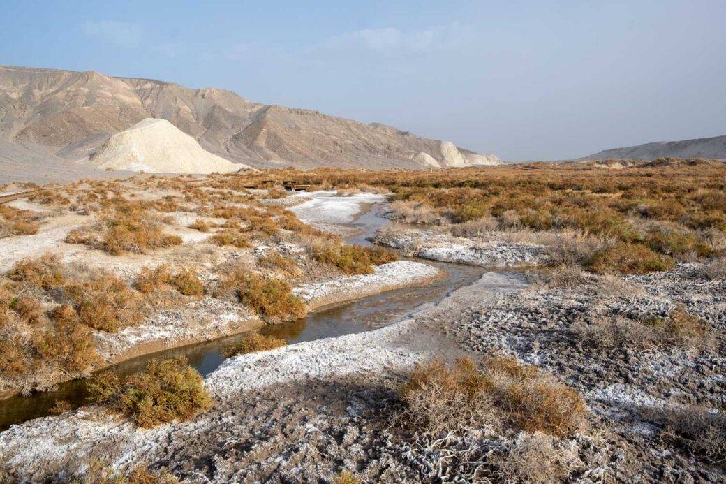 Salt Creek at Death Valley National Park