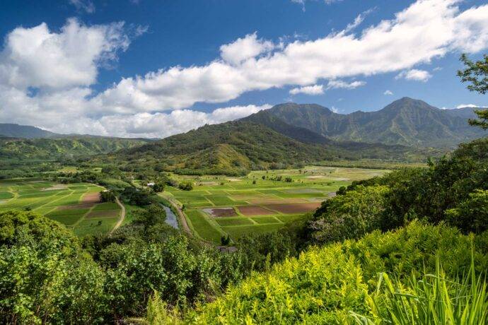 Hanalei Valley lookout in Kauai