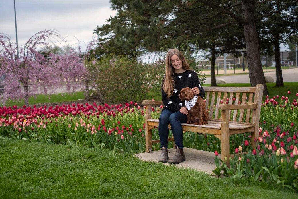 Bench covered in tulips at Window on the Waterfront park in Holland, Michigan