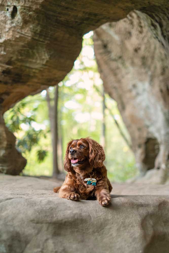 Hidden Arch trail in Red River Gorge in Kentucky