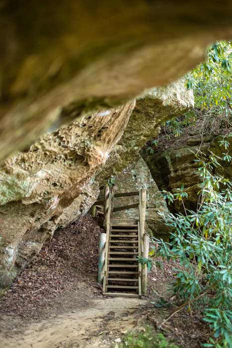 Hidden Arch trail in Red River Gorge in Kentucky