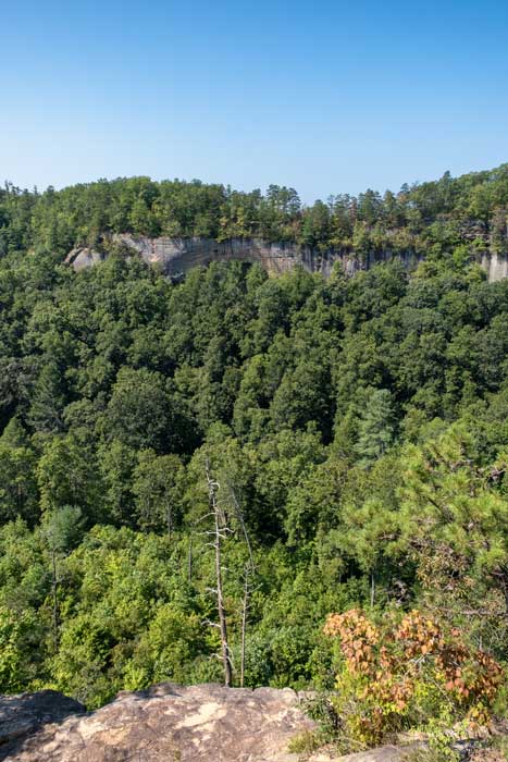 Indian Staircase trail in Red River Gorge in Kentucky