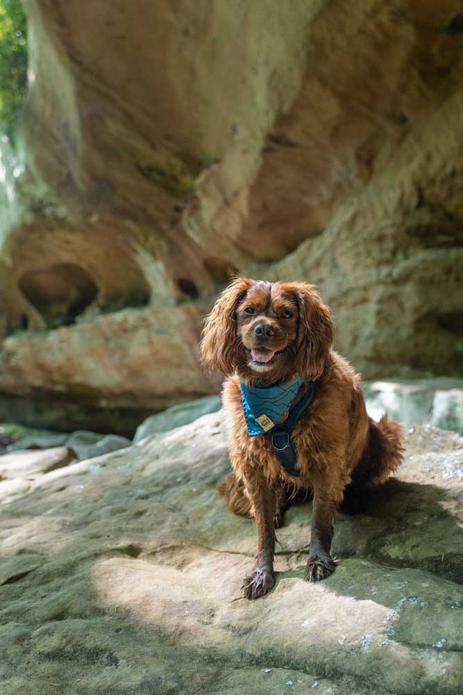 Indian Staircase trail in Red River Gorge in Kentucky