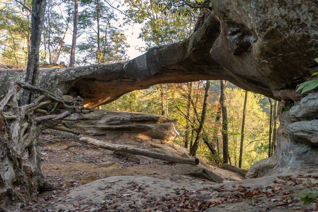 Princess Arch in Red River Gorge in Kentucky