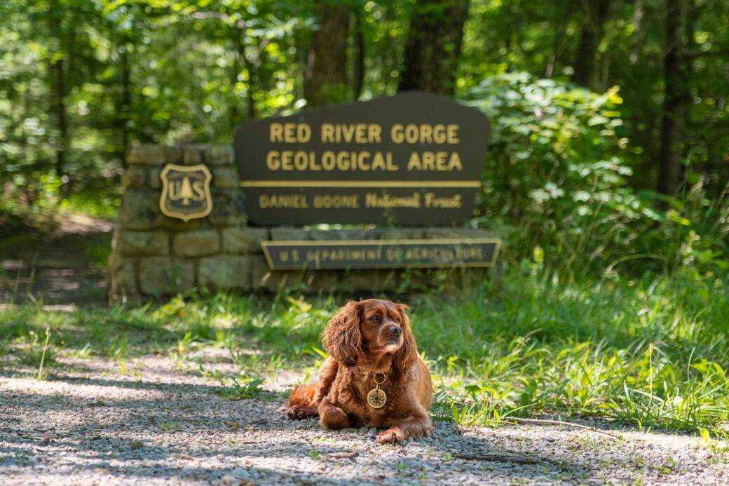 Red River Gorge sign